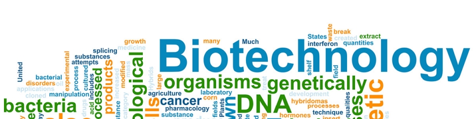 Biotecnologie cellulari e molecolari 